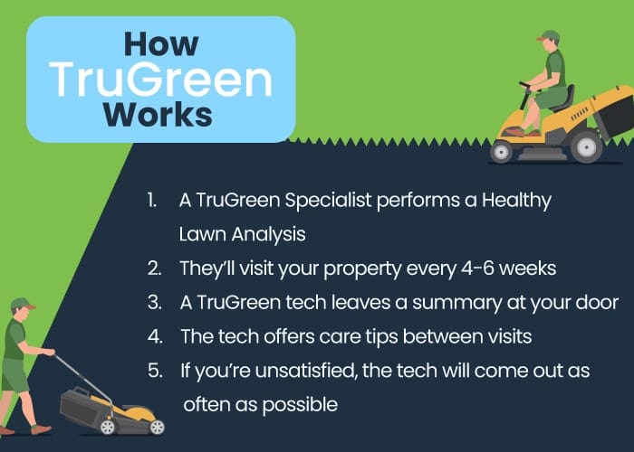 How Trugreen works in 5 steps graphic