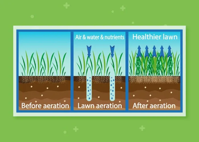 The benefits of aerating as a graphic for a piece on Trugreen Prices and Review