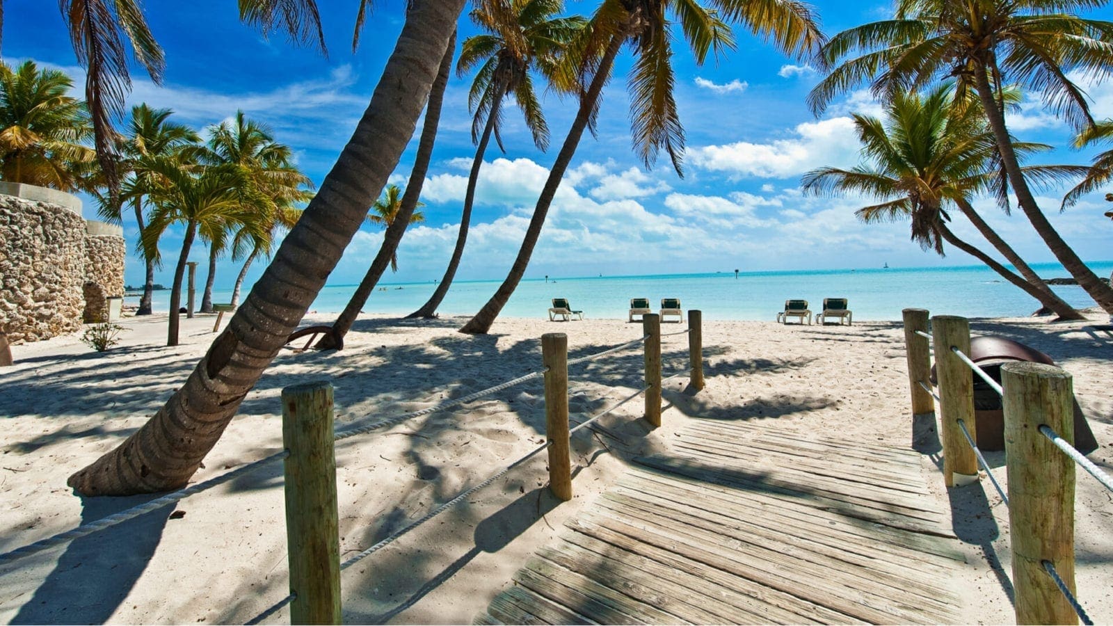 Image of a beach in Florida with palm trees and a blue ocean