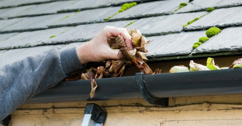 As an image for a piece on how long does a roof last, a picture of a hand cleaning out leaves from a gutter against a slate roof