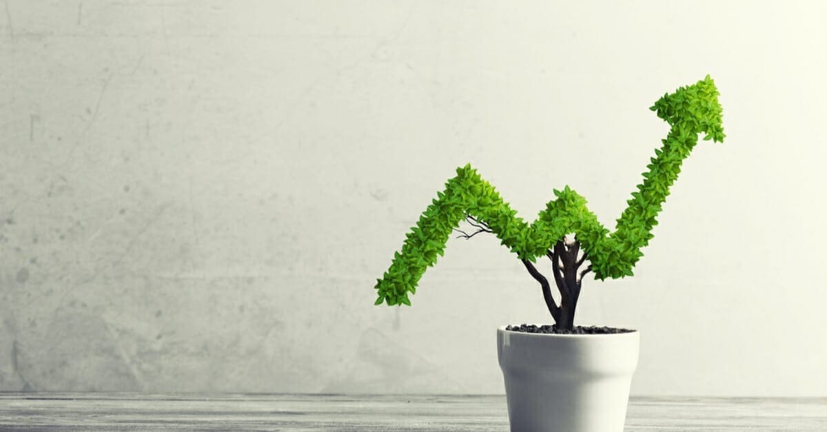 Photo of a green potted hedge cut into an upward trending arrow symbolizing how the rule of 72 can help you double your investment