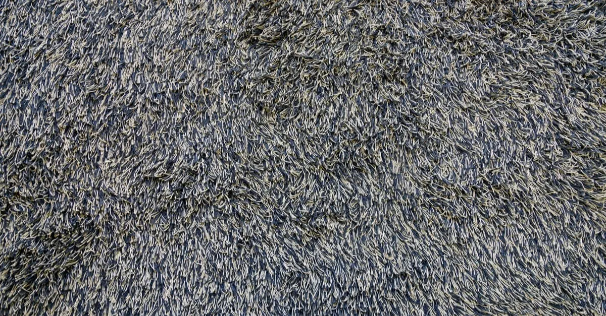 Mixture of dark, grey, black and white Saxony Cut Pile carpet material. Lust fuzzy monotone pile carpet floor