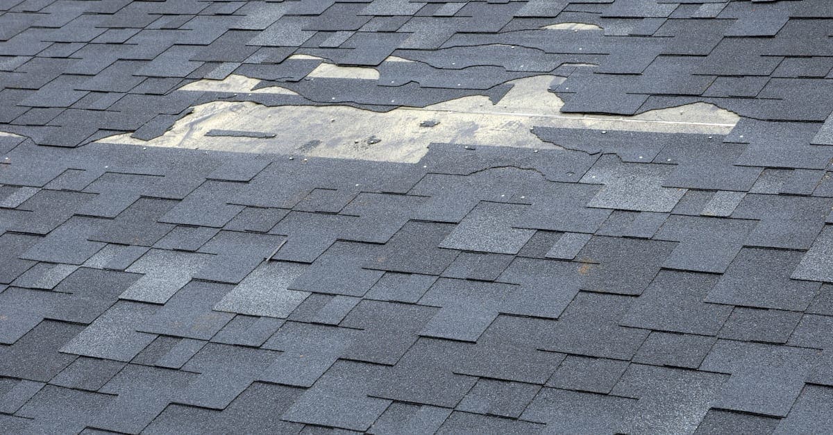 A close up view of shingles a roof damage