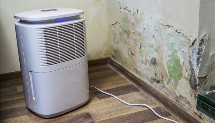 Dehumidifier cleaning and drying air next to a bad mold and fungus growth on an interior wall. Purifier for spores and particles in a toxic environment