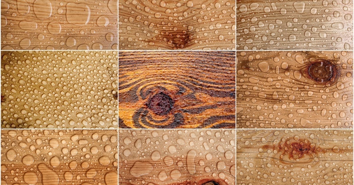 A collage of different types of waterproof wood with water droplets on them as the featured image for a piece on how to waterproof wood