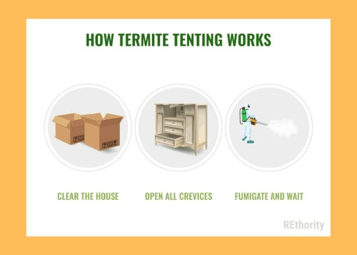 Step by step illustrated guide to how termite tenting works