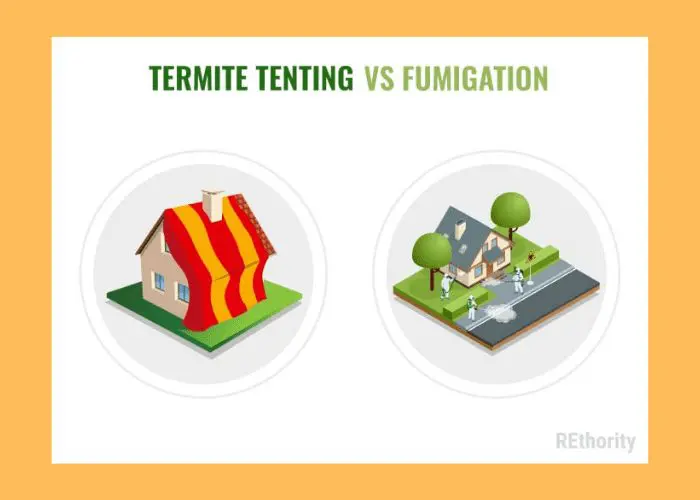 Termite tenting vs fumigation graphic featuring two illustrated houses side by side