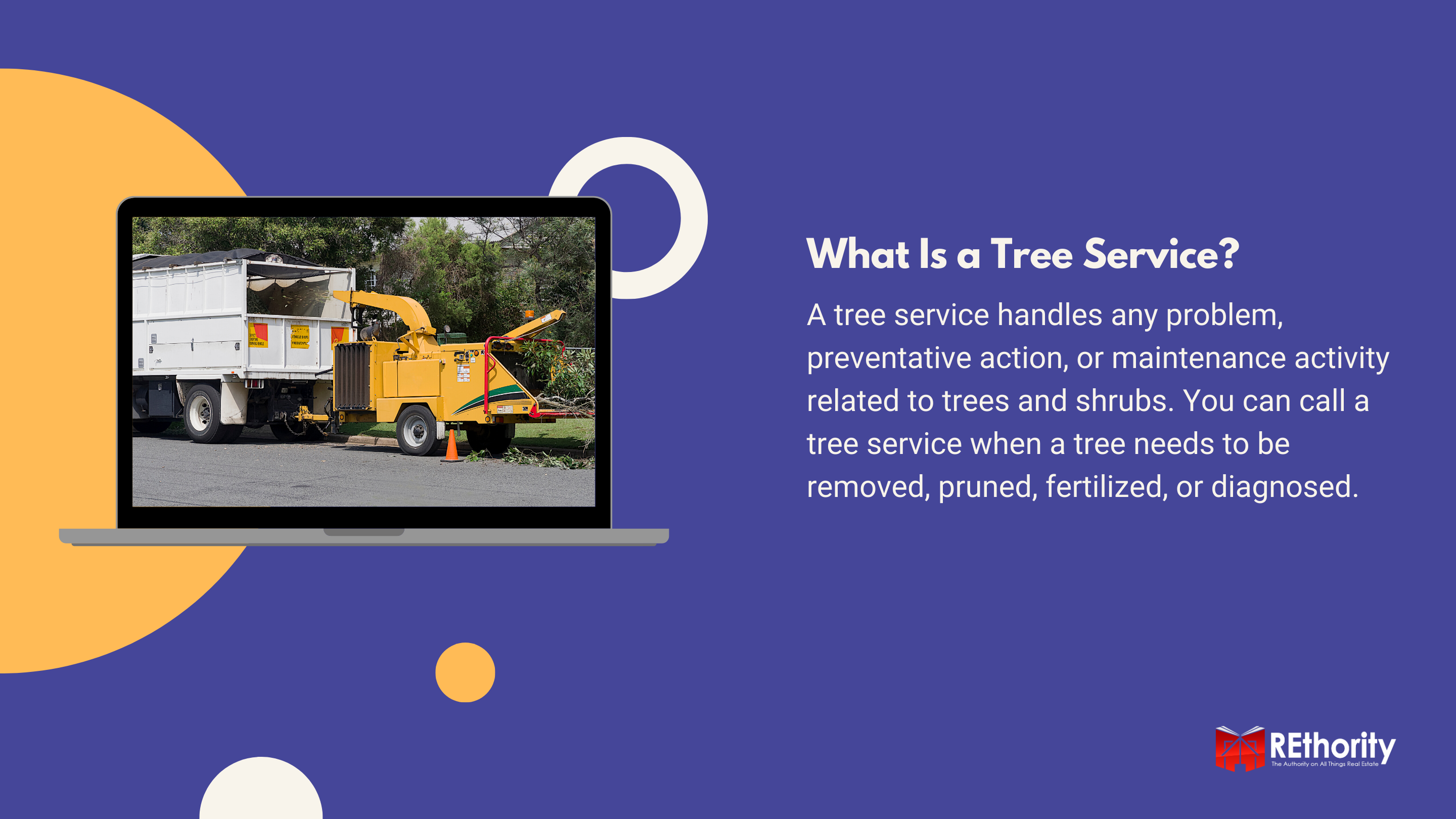 What Is a Tree Service near me graphic explaining the things that a service like this does