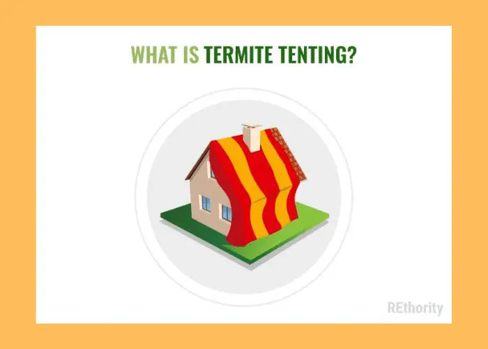 What is termite tenting graphic featuring an image of an illustrated house cloaked in a termite tent (1)