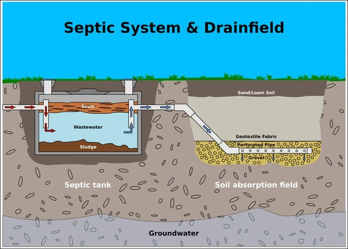 Septic System and Drainfield color vector diagram as a featured image for a piece on septic tank pumping near me