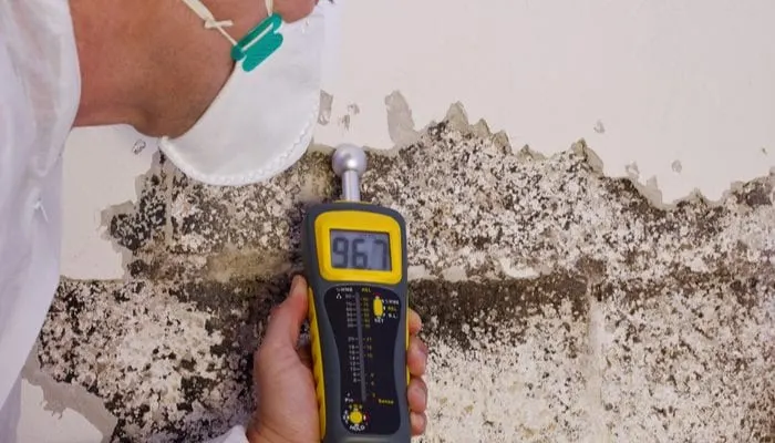a professional pest control contractor or exterminator in a white safety dress and mask at a mold destroyed wall with a moisture meter check for mold pests and bugs and humidity