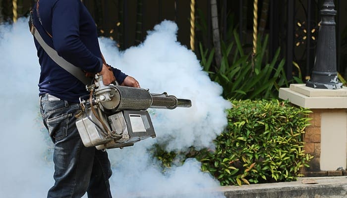 Fogging mosquito to prevent of dengue fever