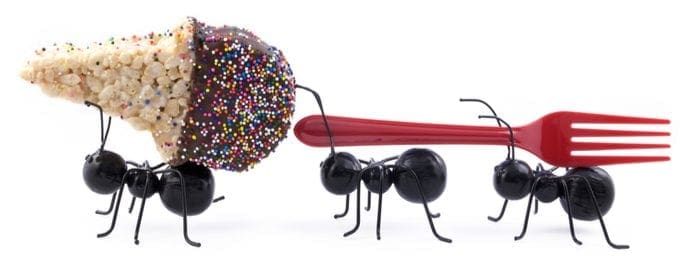 Toy black sugar ants carrying a cereal treat ice cream cone and a fork, concept, isolated on white background, horizontal with copy space