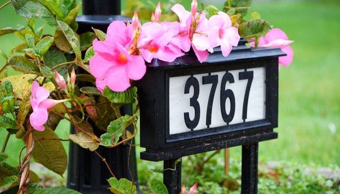 A house number on the front yard with flowers in neighborhood/closeup