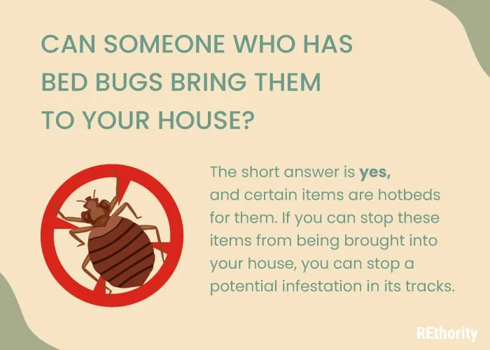 Graphic that says can someone with bed bugs bring them to your house and a short blurb in green text answering this question