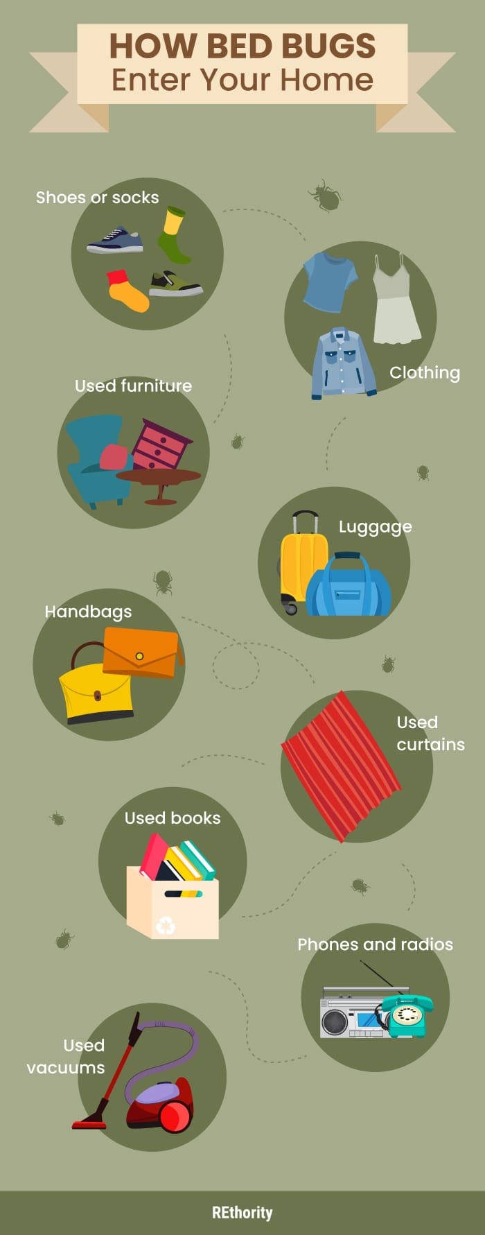 Infographic style graphic showing where you can get bed bugs from