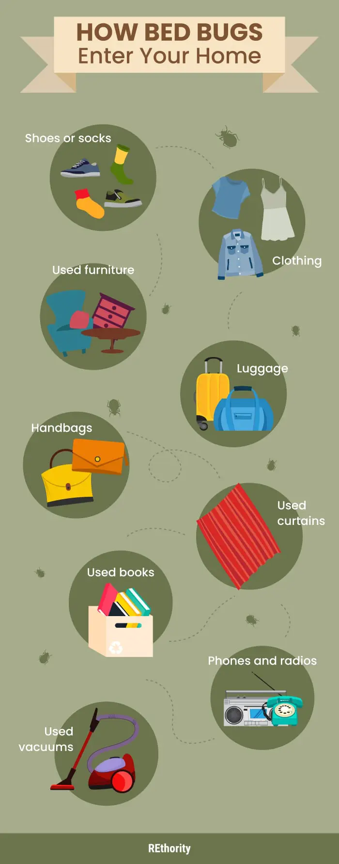 Infographic style graphic showing where you can get bed bugs from