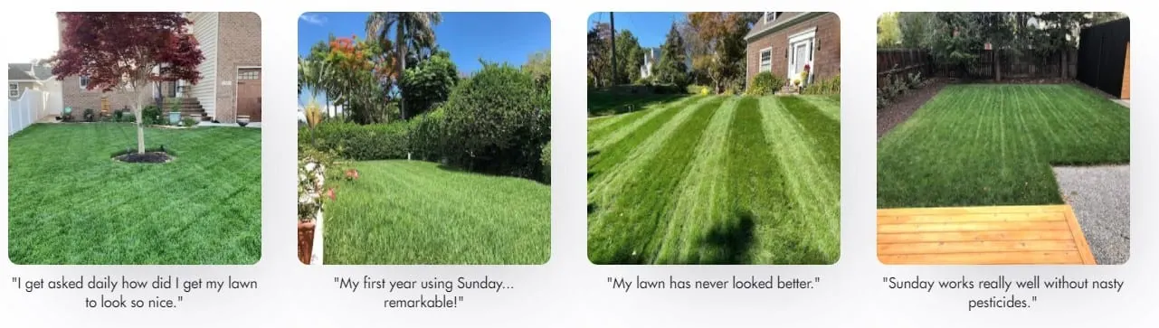 customer reviews featuring photos of their lawns