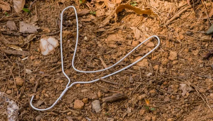 Discarded bent white wire clothes hanger laying on ground.