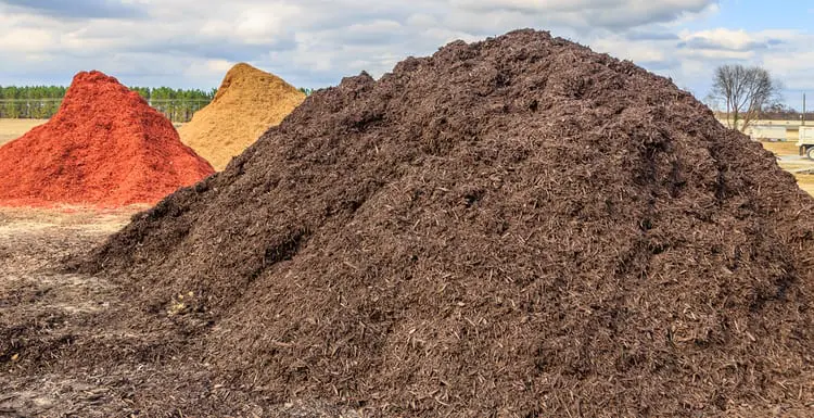 Bulk Mulch Near Me: Everything You Need To Know