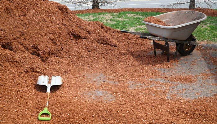 wheelbarrow and shovel with mulch pile for spring gardening work