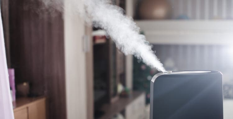 Best Whole House Humidifiers: A Complete Buyer’s Guide
