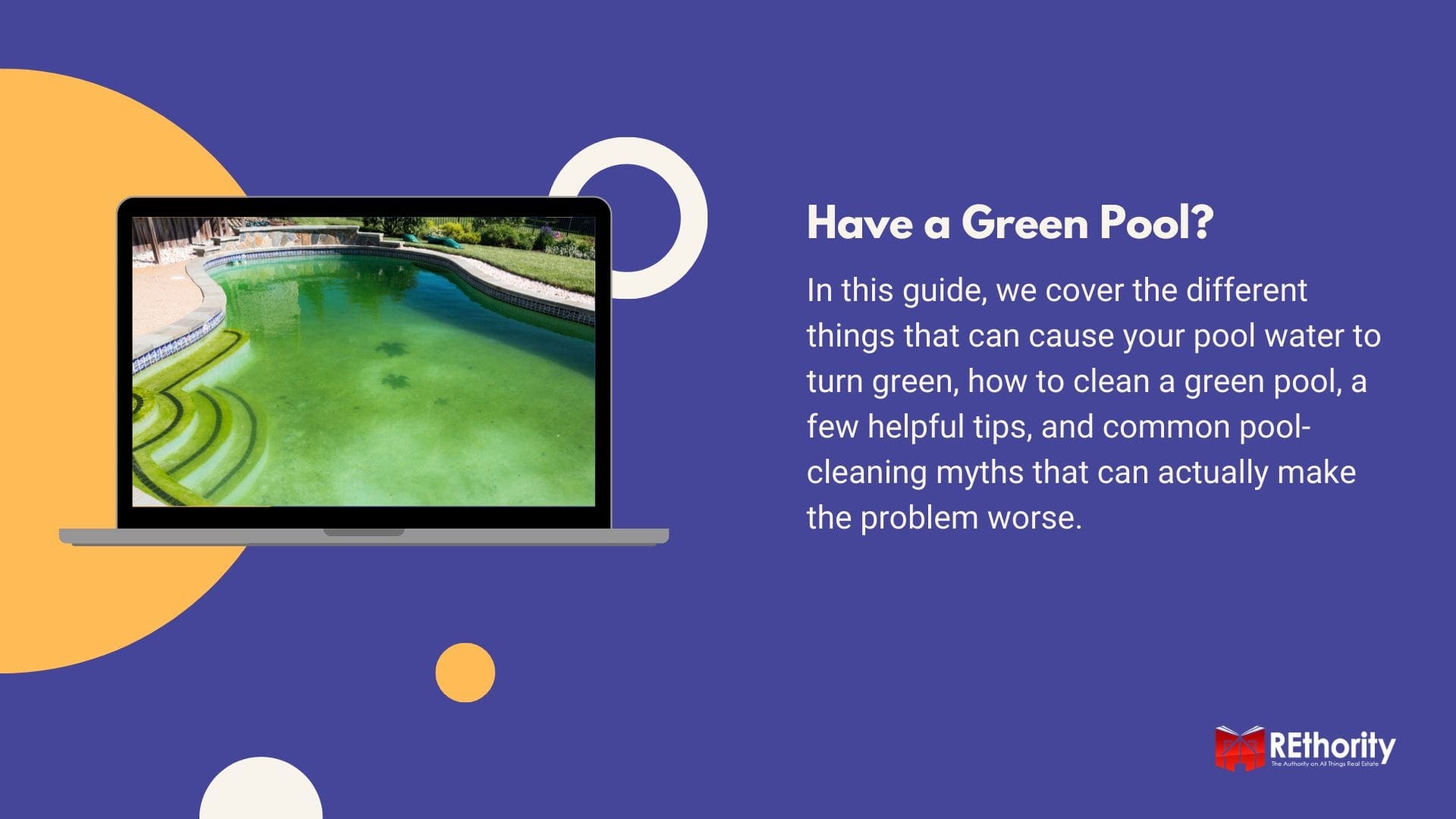 Green swimming pool graphic featuring a photo of it on a computer screen and an article highlight section next to it