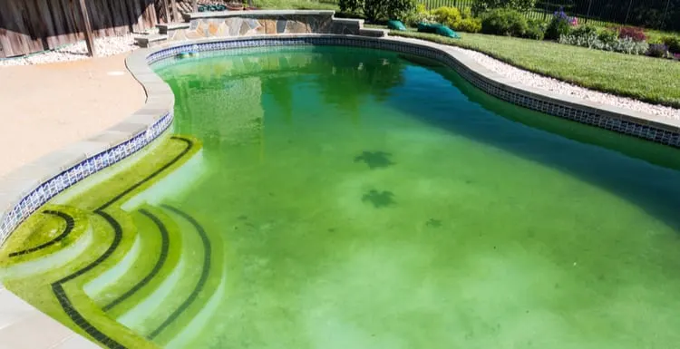 Green Pool: Treatment Options and Cleaning Tips