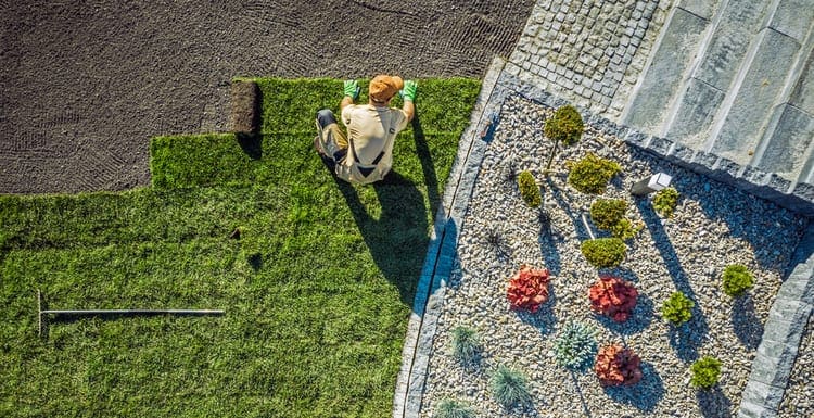 Sod Near Me: Complete Buyers’ Guide