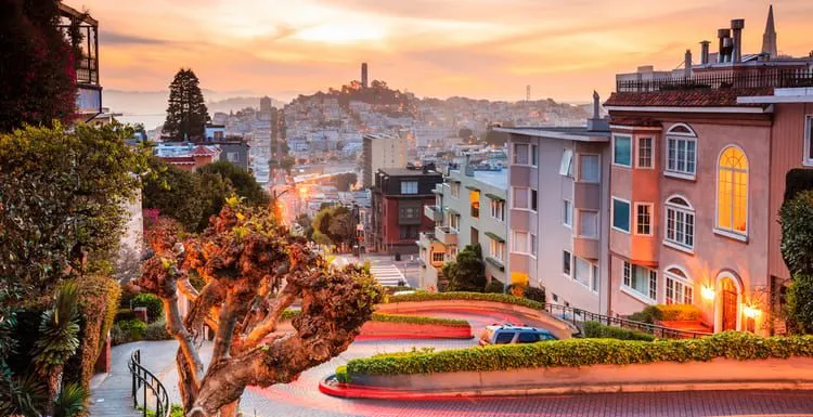 Property Management: San Francisco Company Options