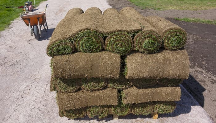 Pile of grass twisted into a roll on a pallet in the background improves the lawn