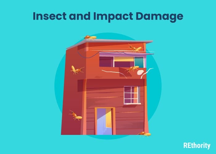 As an image for a piece on how long does vinyl siding last a red house falling apart because of insect damage