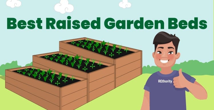 Raised garden beds featured image