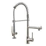 Fapully Dual-Spout Pull-Down Commercial Kitchen Faucet​