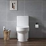 Horow Compact One Piece Standard Height Toilet