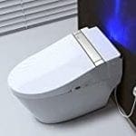 Woodbridge Dual Toilet with Smart Bidet Seat and Wireless Remote Control​