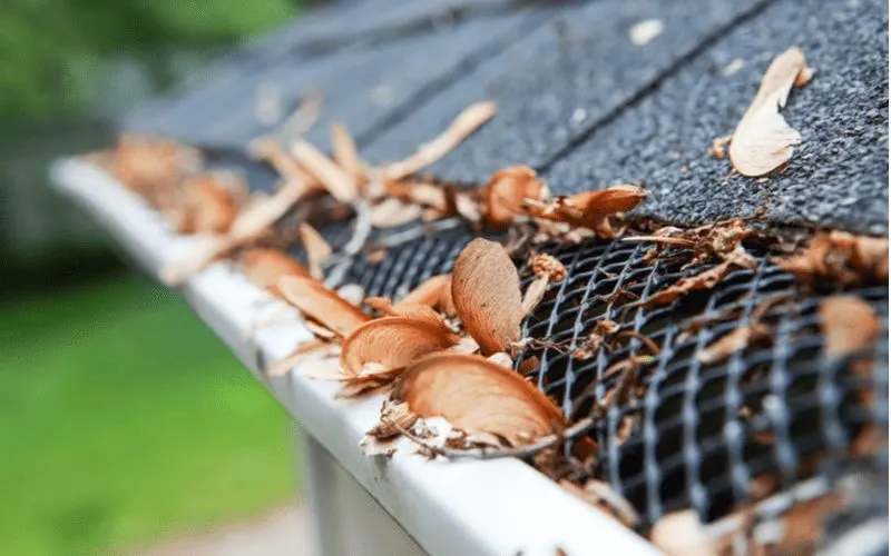 Mesh gutter guards filled up with leaves on a sloped roof