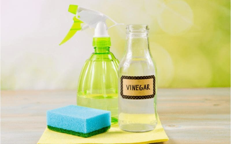 Image of a bottle of vinegar sits on a table next to a spray bottle
