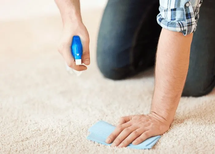 To illustrate how to remove pet stains from carpet, a man on his hands and knees dabbing up a pet stain
