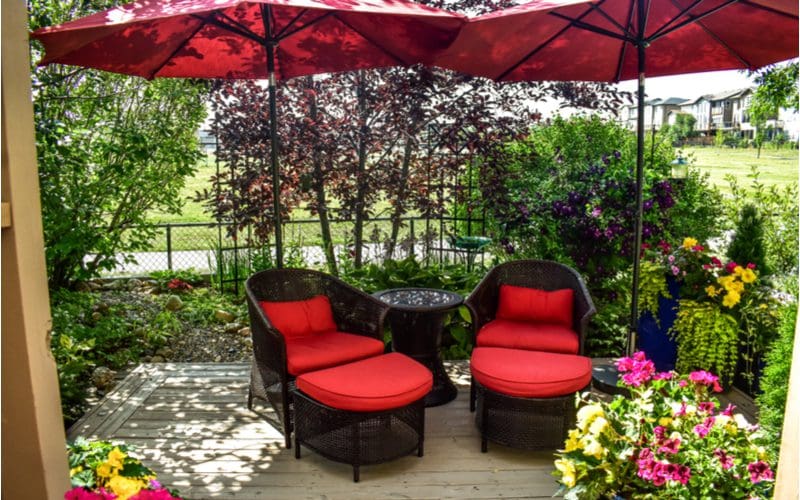 Matching side-by-side red and black patio shade umbrellas over padded chairs