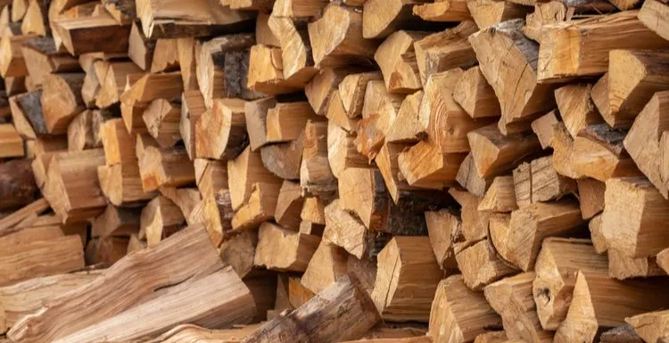 What Is a Cord of Wood? A Complete Beginner’s Guide