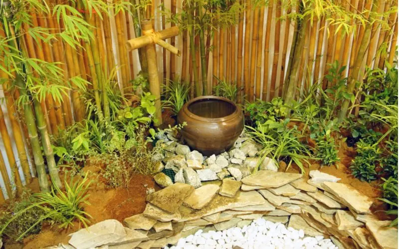 Zen garden with privacy plants made of bamboo next to a koi pond