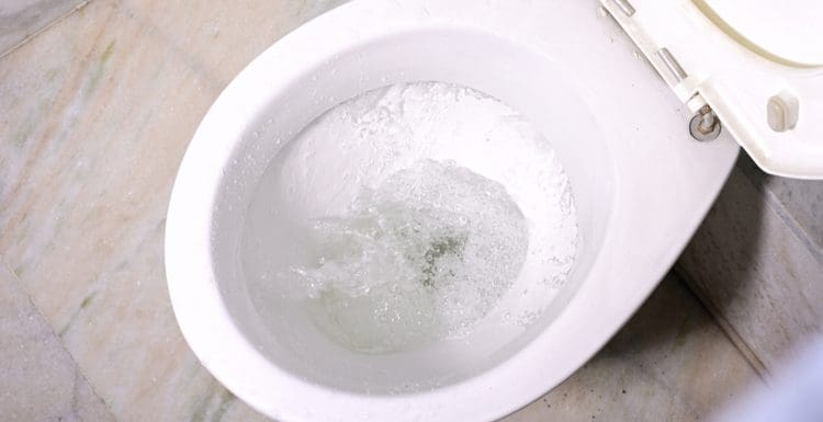 Toilet Keeps Running | Try These 5 Easy Fixes