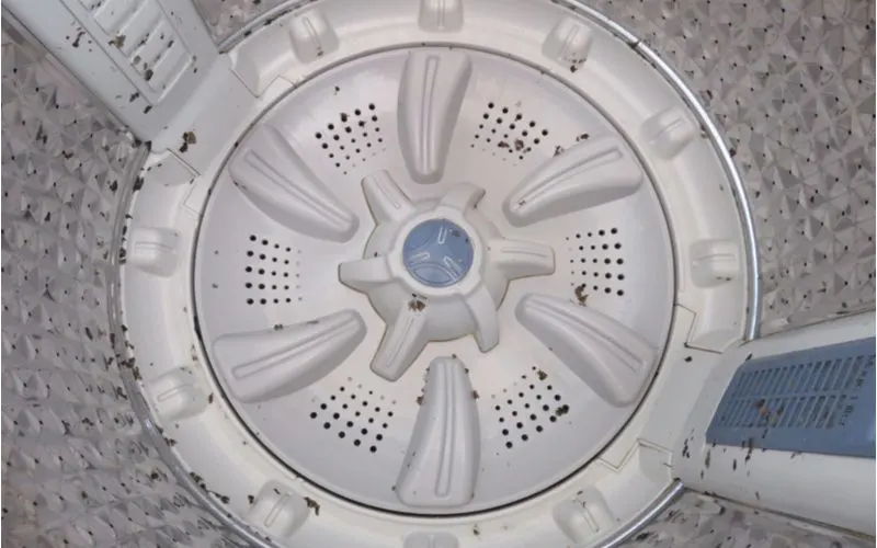 Image of a washing machine impeller at the bottom of a drum to compare this to a rotating agitator