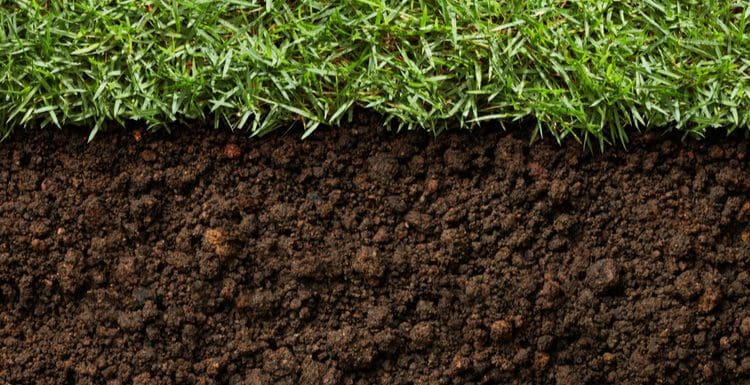 Featured image for a piece on top soil cost featuring a green yard next to top soil that's been tilled