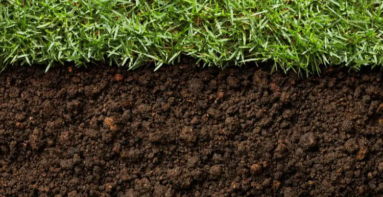 Top Soil Cost: Pricing Guide & Considerations for 2024