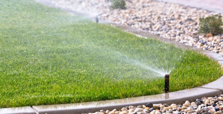 Sprinklers wont turn off in an image of a lawn being watered by an underground system with rocks in the landscape beds