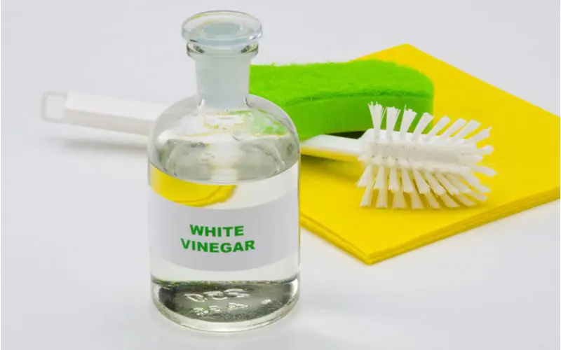 White vinegar in a bottle sitting on a table next to a toilet brush as a simple solution to get rid of ants in the yard