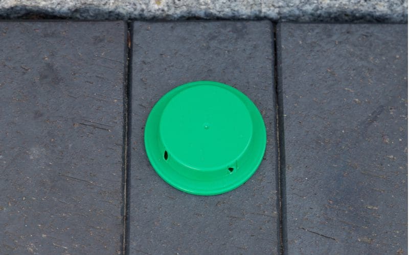 As an image for a piece on pet safe ant killer, a green ant trap rests on a sidewalk next to foam