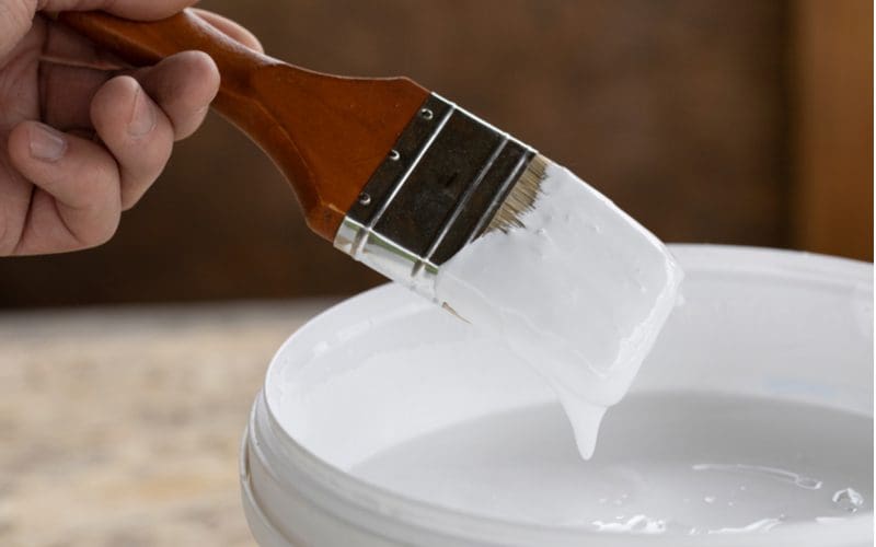 Man holding a paint brush with latex paint on the end after being dipped in the bucket